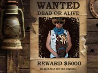 Wanted.jpg