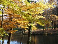 Gyertyános 029.jpg