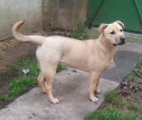 Ma hat hónapos 3.jpg