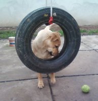 Ma hat hónapos 4.jpg