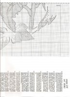 orchidea216.jpg