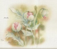 orchidea253.jpg