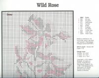 wildrose5.jpg