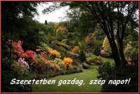 szeretetben szép napot.jpg
