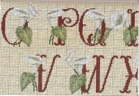 Alphabet with calla lily flowers (3).jpg
