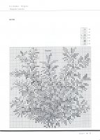 30-5762 Wigela Hybrida - rózsalonc.jpg