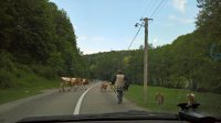 WP_20160524_09_03_04_Rich.jpg