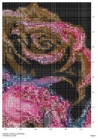 FAERIE ROSES-page-009.jpg