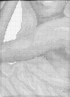 Sárga turbános (5).jpg