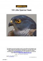 105 Little Sparrow Hawk-page-001.jpg