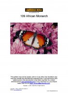 109 African Monarch-page-001.jpg