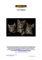 116 Kittens 2-page-001.jpg