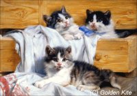 2140 . The Playful Kittens.jpg