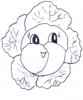 salata.png