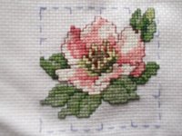 DSCF4599.JPG