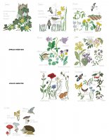 Nature's year  hónapok.jpg