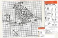 Der Wintervogel-ökörszem 1.jpg