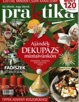 Paraktika 2008.12 (1).jpg