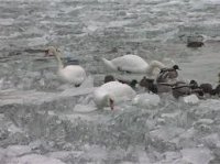 2011.02.06..jpg