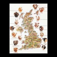 TG 1076 Sheep map of Great Britain.jpg