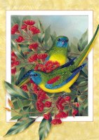 turquoise Parrot.jpg