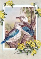 Blue-Winged Kookaburra.jpg