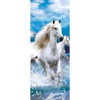 white-horse.jpg