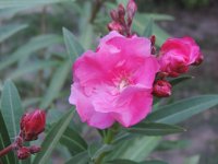 DSCN7391.JPG