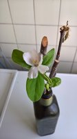 WP_20180315_09_34_08_Pro.jpg