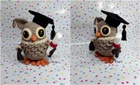 Wisdom-the-Graduation-Owl.jpg