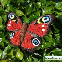 Peacock-Butterfly-.jpeg