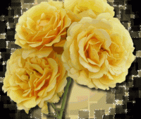 sárga rózsa.gif