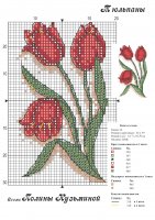 19 tulipán.jpg