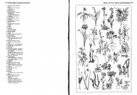 662-663 Erdei lápi és pusztai növények.JPG