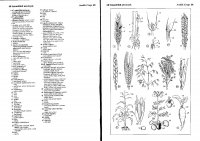132-133 Szántóföldi növények.JPG