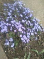 IMG_20190310_130643.jpg