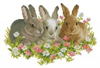 Rabbits in flowerfield.jpg