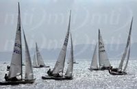 ..soling.jpg