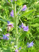 IMG_20190706_103441.jpg