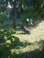 2016.01.01. mentés 074.jpg