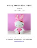 Hello_Kitty_in_Chinese_Zodiac_Costume_Rabbit-page-001.jpg
