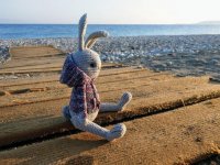 045d8f2fffe1c05f91465a60b137b528 (1).jpg