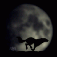 crazywolf