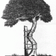 Alliterato