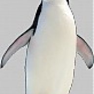 pingvin