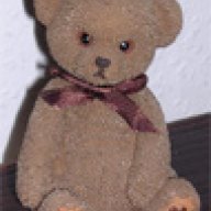 Beerbear71
