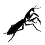 amantis