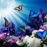 bluevelvet