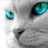 Judy76