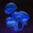 Plutonic